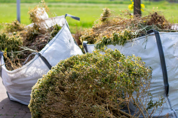  Rock Springs, NM Junk Removal Services Pros